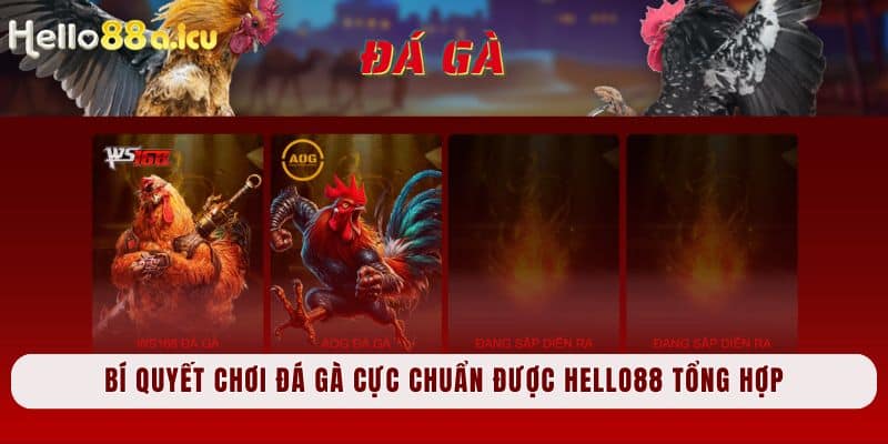 Bí quyết chơi đá gà cực chuẩn được Hello88 tổng hợp