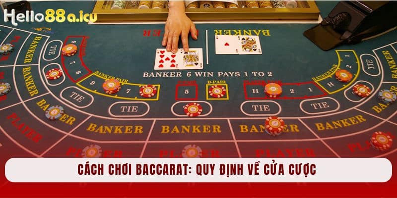 Cách chơi Baccarat: Quy định về cửa cược 