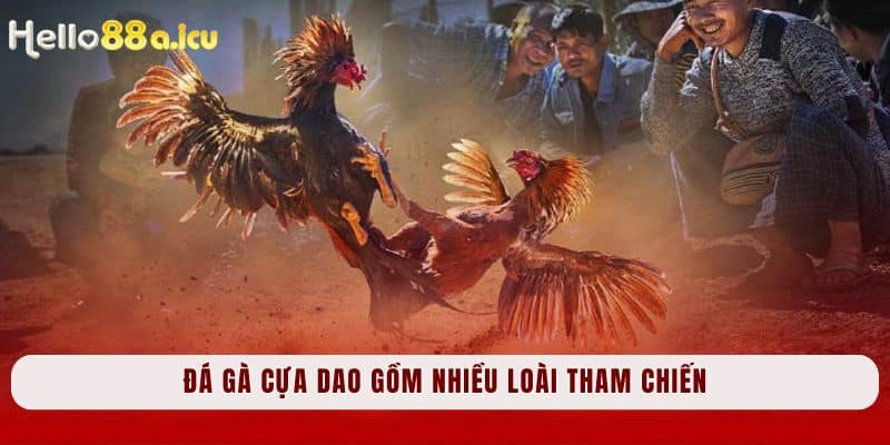 Đá gà cựa dao gồm nhiều loài tham chiến