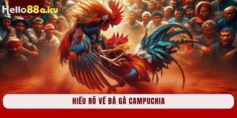 Hiểu rõ về đá gà Campuchia