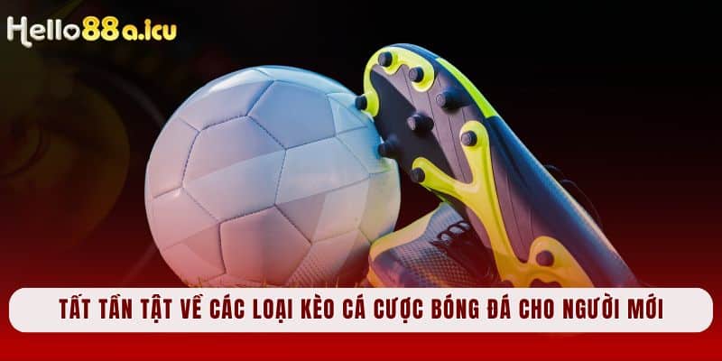 Các loại kèo cá cược bóng đá