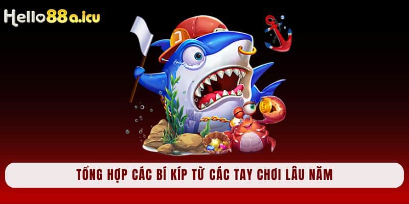 Tổng hợp các bí kíp từ các tay chơi lâu năm